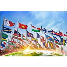 International Organizations