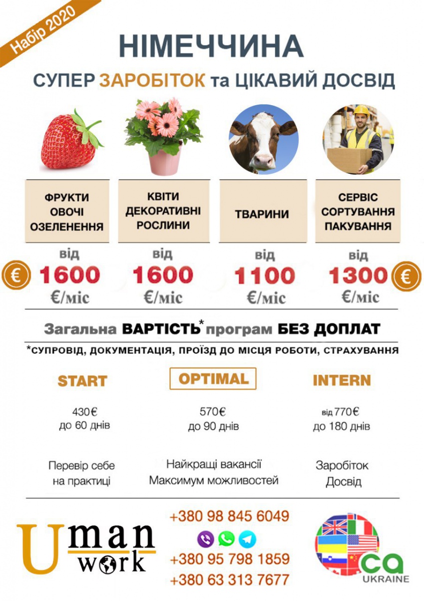 Стажування для студентів у Німеччині
