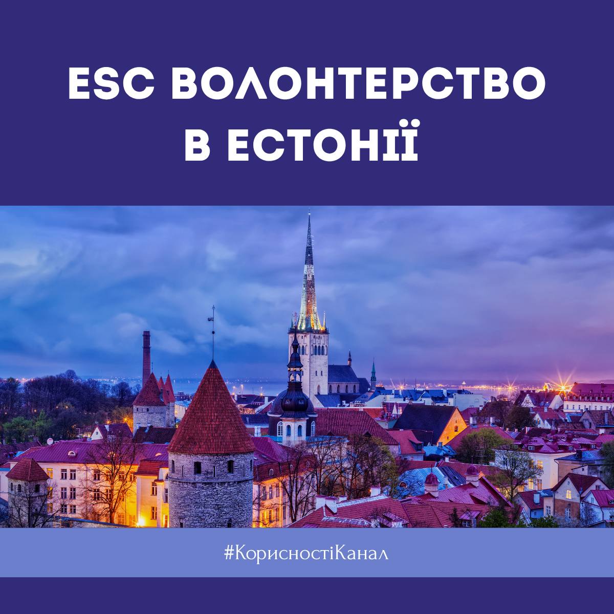 ESC волонтерство в Естонії