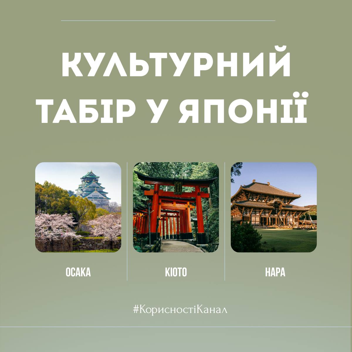 Культурний табір у Японії